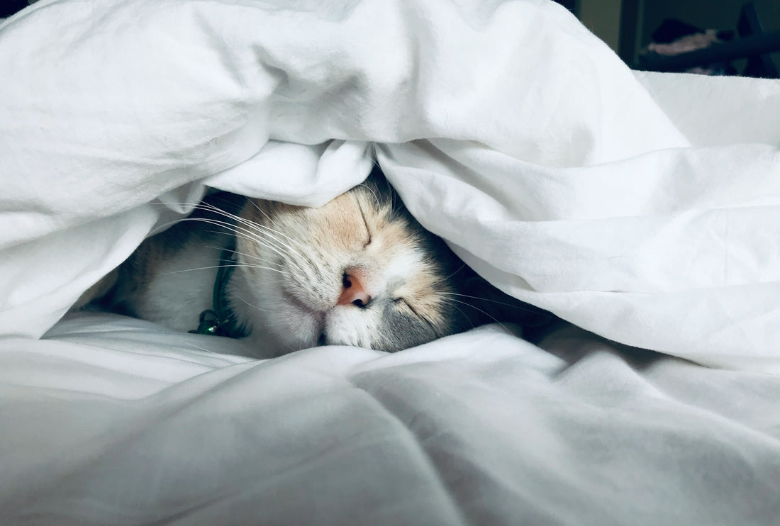 Harness the Power of Crystals: A Natural and Safe Solution for Insomnia