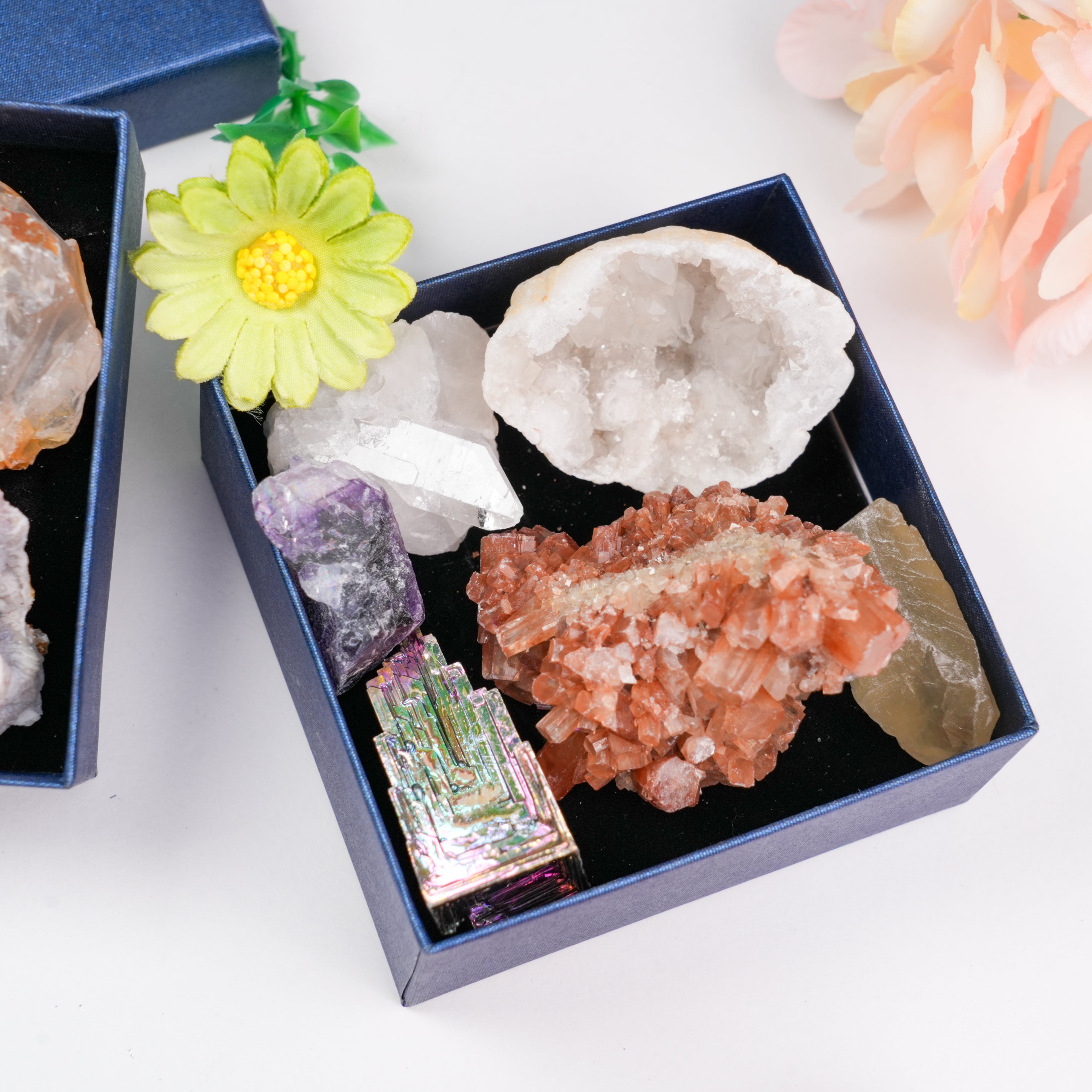 Raw Crystal & Geode Mineral Specimen Box