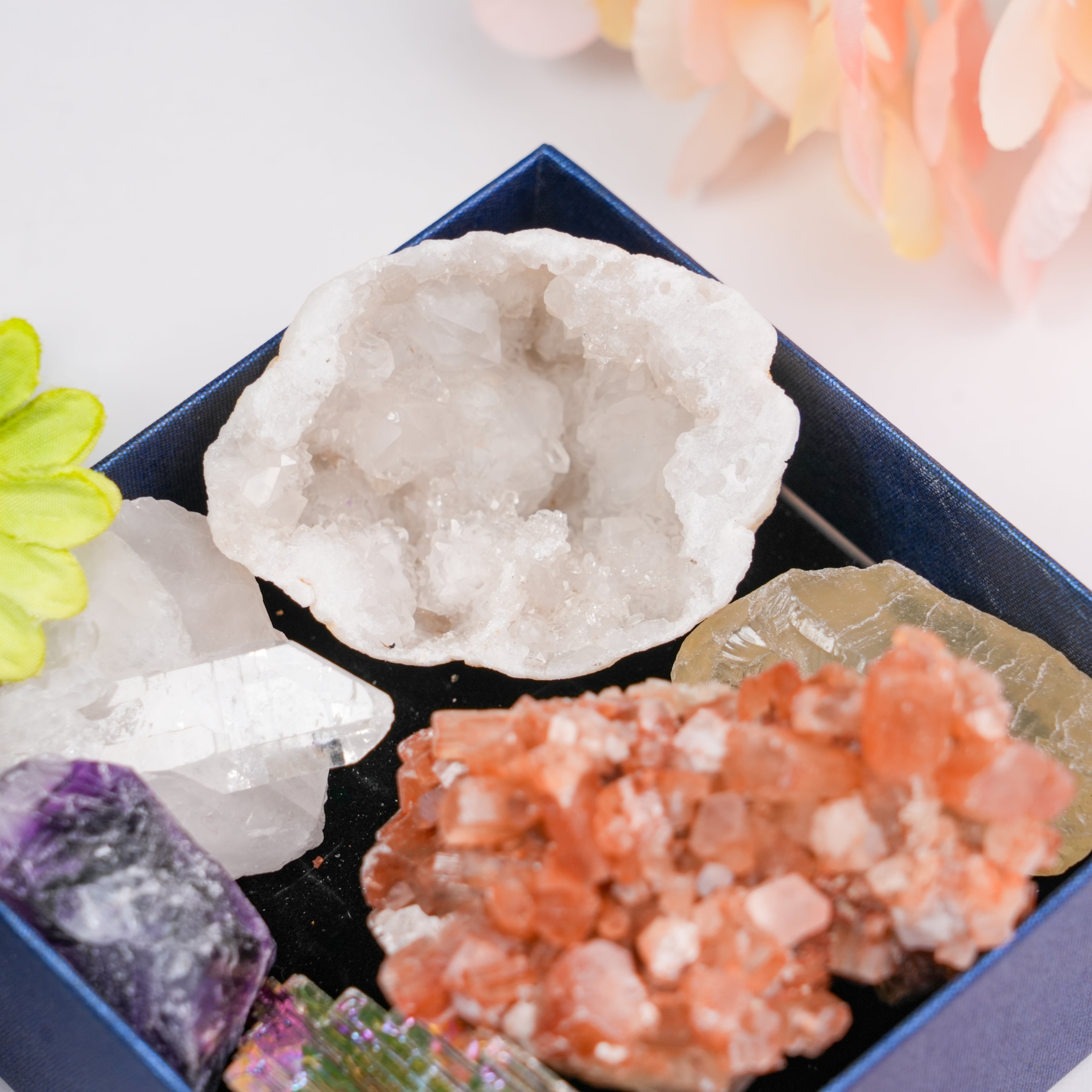 Raw Crystal & Geode Mineral Specimen Box