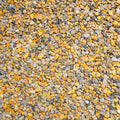 Blumblebee Jasper Chips