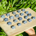 Sodalite Bear Mini Carving
