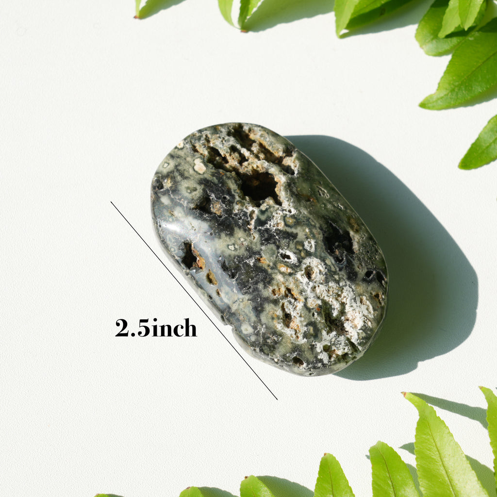 Ocean Jasper Palmstone