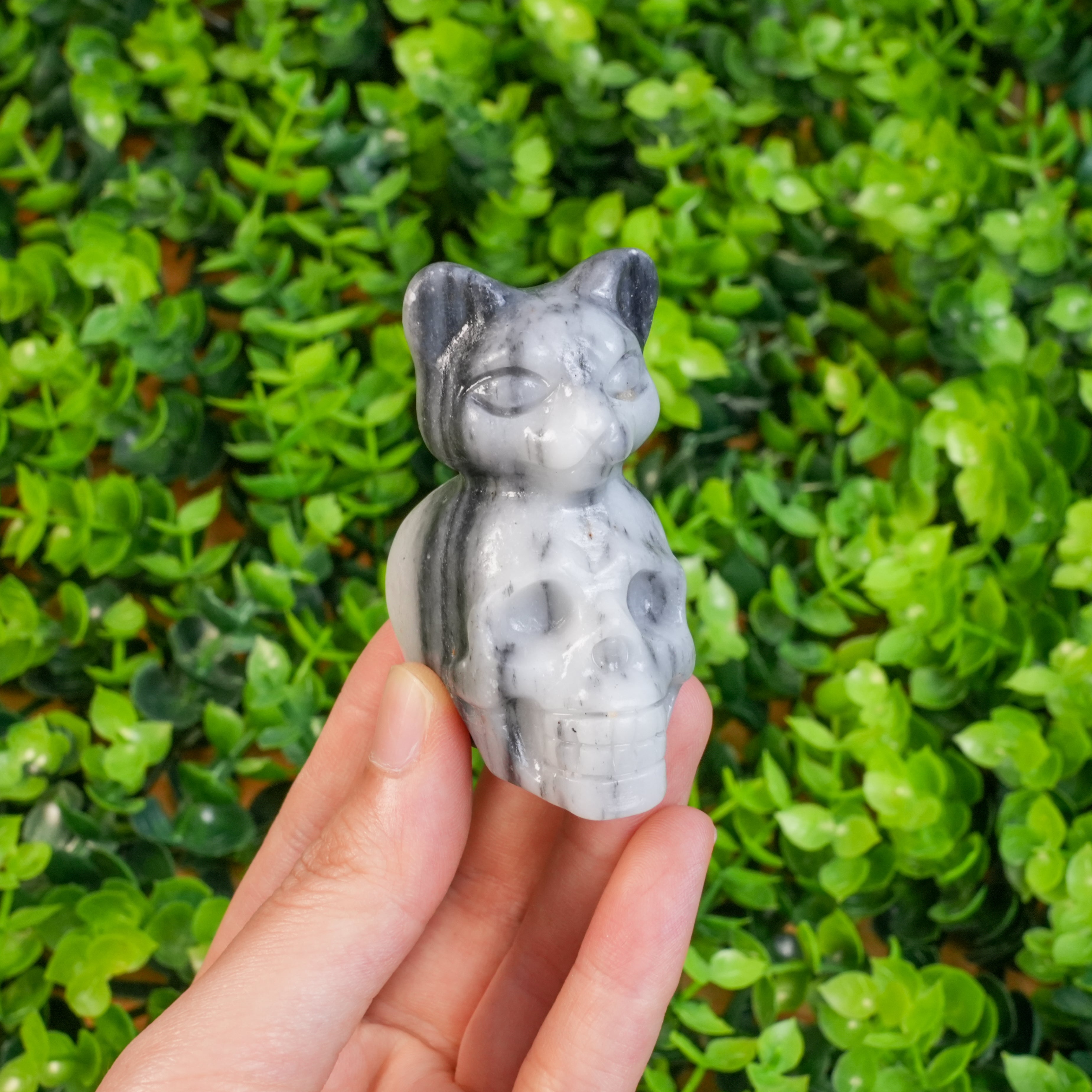 Hand-Carved Crystal Cat Skull Statue | Assorted Natural Gemstone Cat on Skull for Altar & Gothic Decor