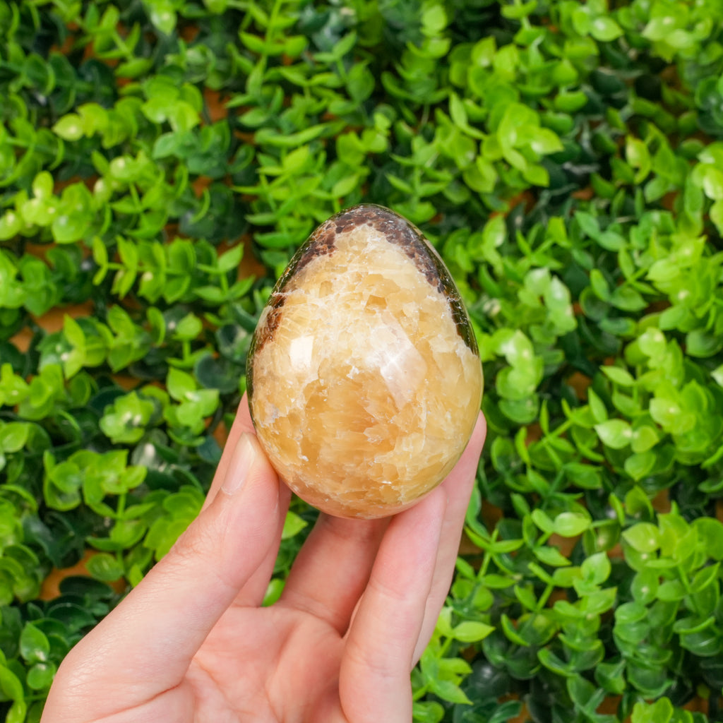 Septarian Dragon Egg Crystal | Natural Septarian Tumbled Stone for Grounding & Emotional Balance