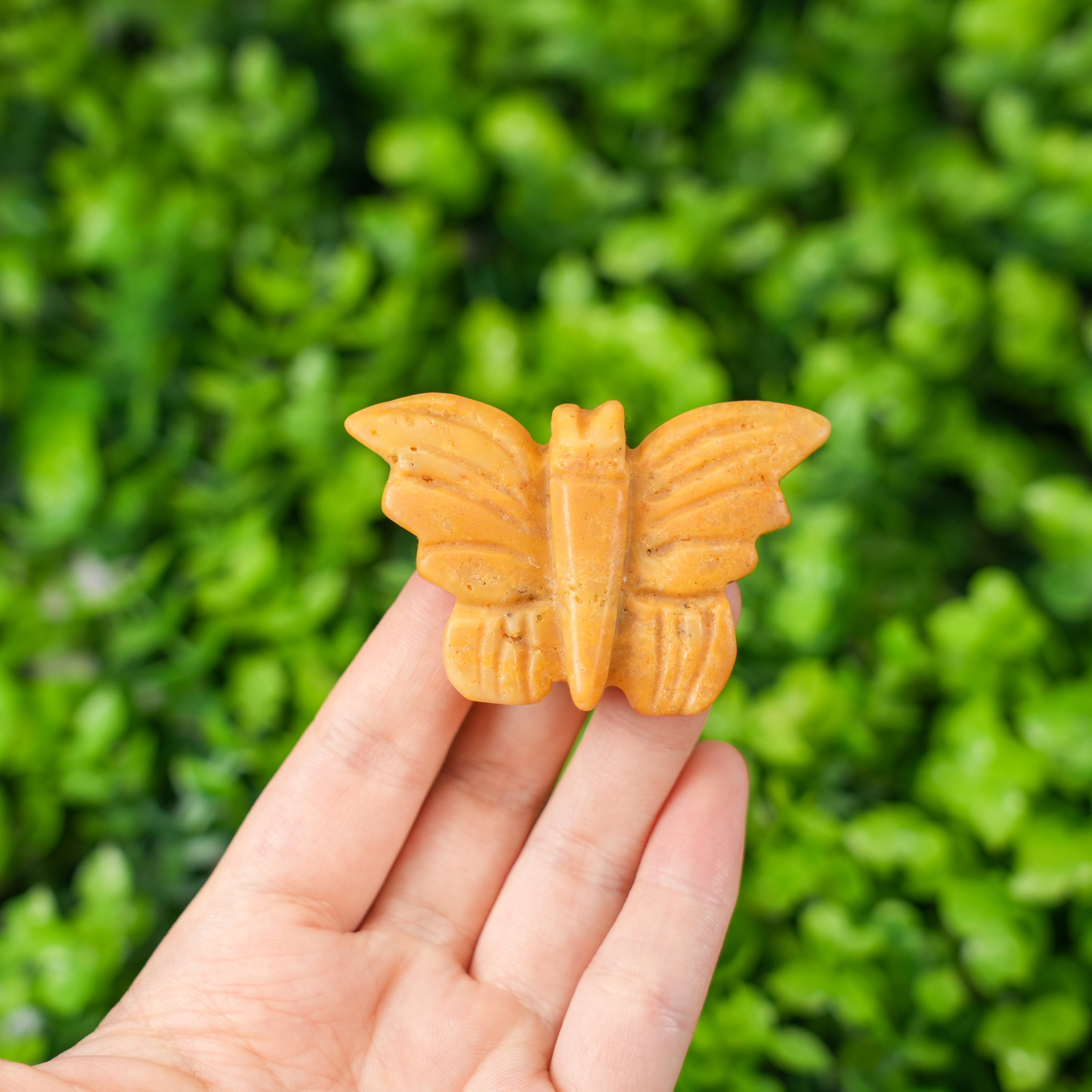 Butterfly Carvings | Hand-Carved Gemstone Butterflies for Decor & Gifts