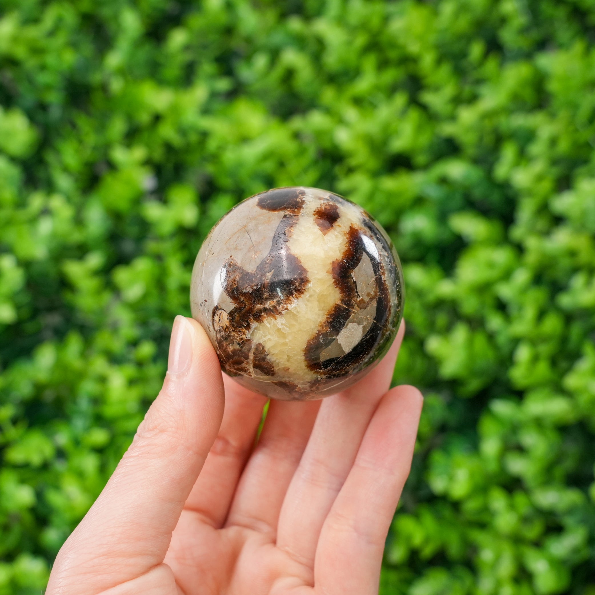 Natural Septarian Dragon Stone Sphere Polished Geode Ball, Hand-Carved Septarian Nodule Crystal for Grounding, Protection, and Spiritual Decor, Unique Gemstone Sphere with Stand