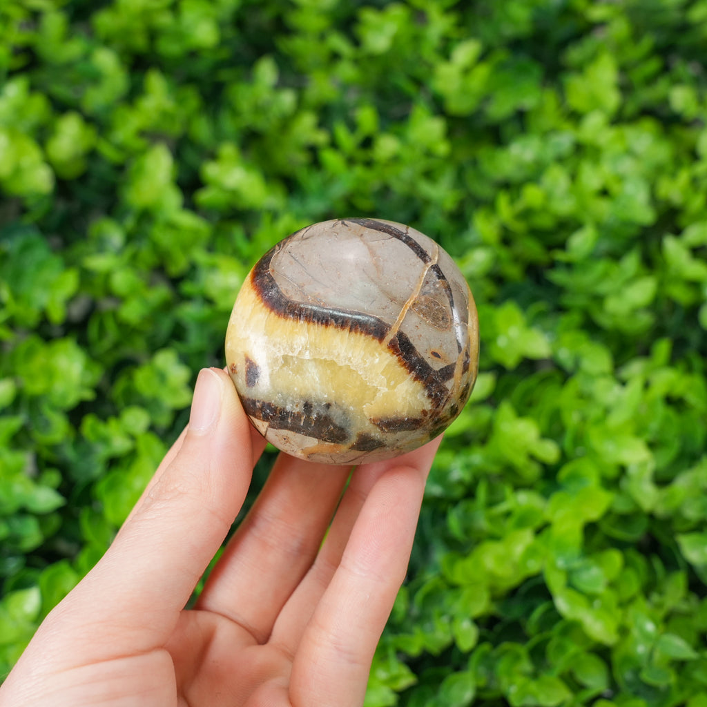Septarian Palm Stone - Hand-Polished Natural Nodule, Smooth Tactile Gem for Daily Palm Holding & Stress Relief