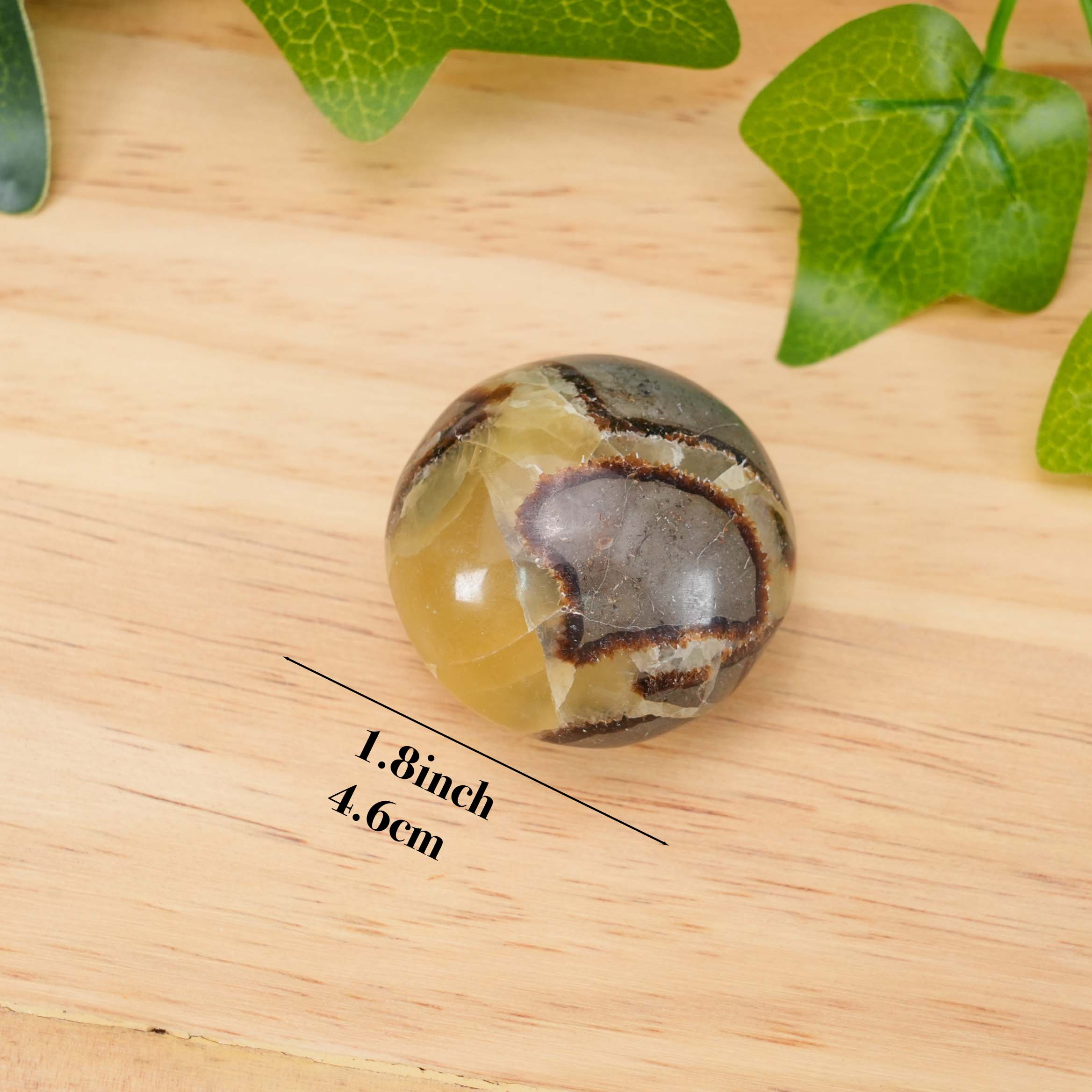 Septarian Palm Stone - Hand-Polished Natural Nodule, Smooth Tactile Gem for Daily Palm Holding & Stress Relief