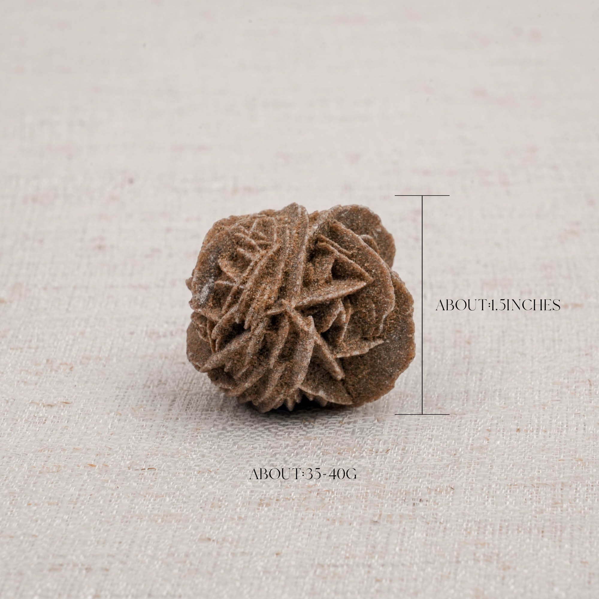 Desert Rose