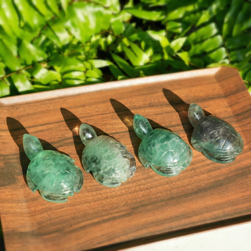 Green Fluorite Turtle