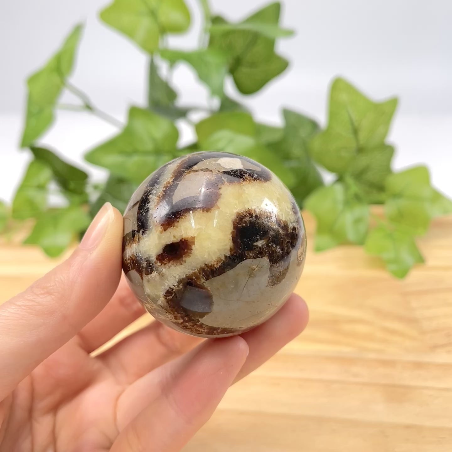 Septarian Palm Stone - Hand-Polished Natural Nodule, Smooth Tactile Gem for Daily Palm Holding & Stress Relief