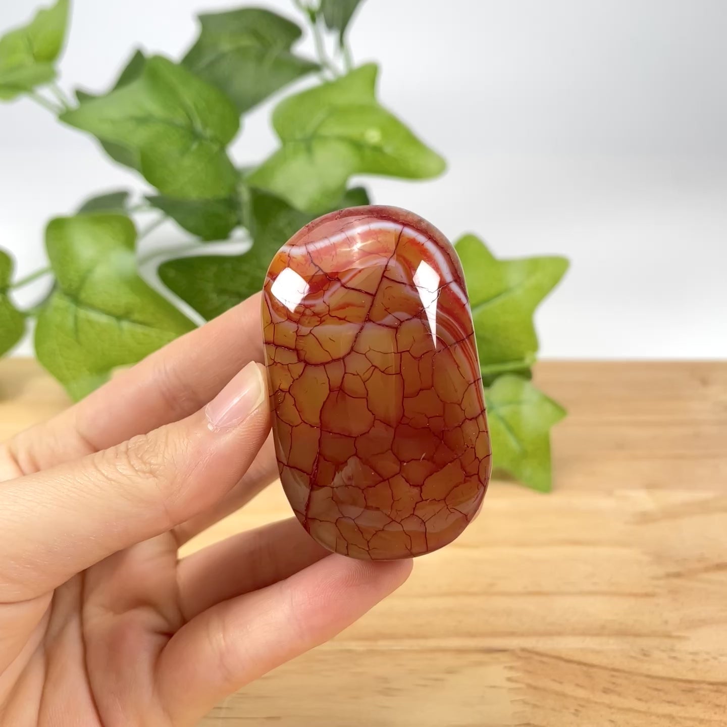 Colorful Dragon Vein Agate Tumbled Palm Stones, Polished Healing Gemstones for Pocket & Altar