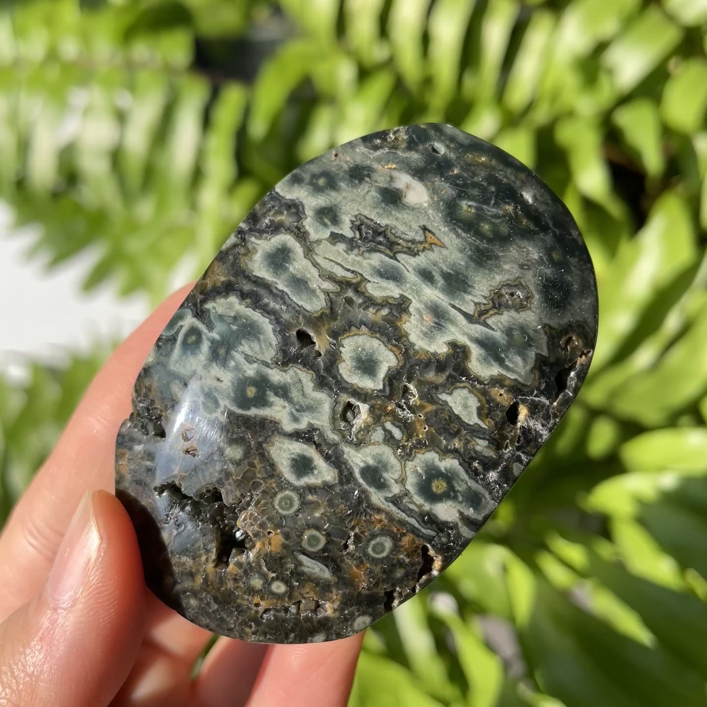 Ocean Jasper Palmstone