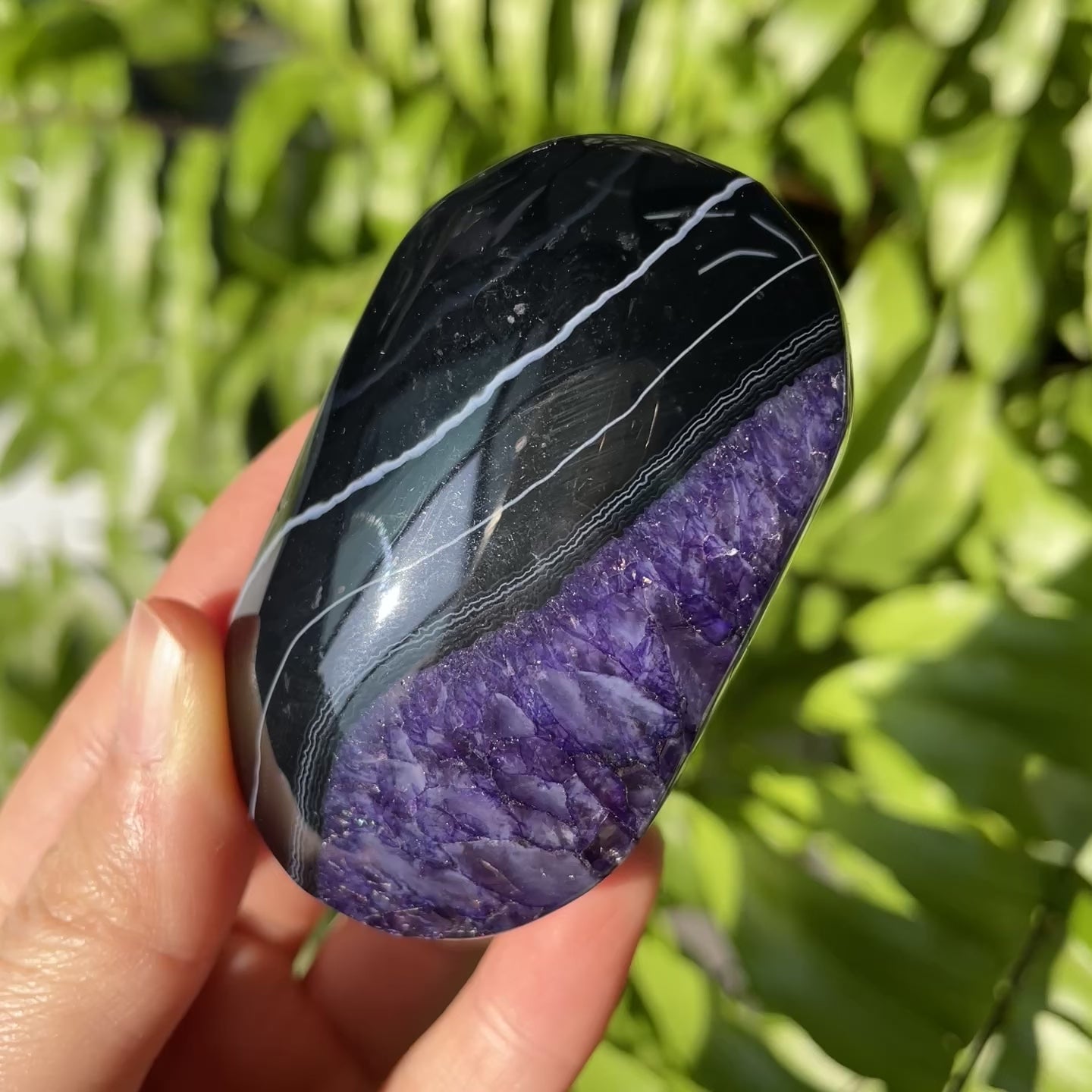 Purple Sardonyx Palmstone